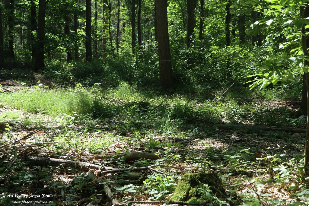 Kirchberg in Hackenheim zum Gasthaus Spreitel und zurück