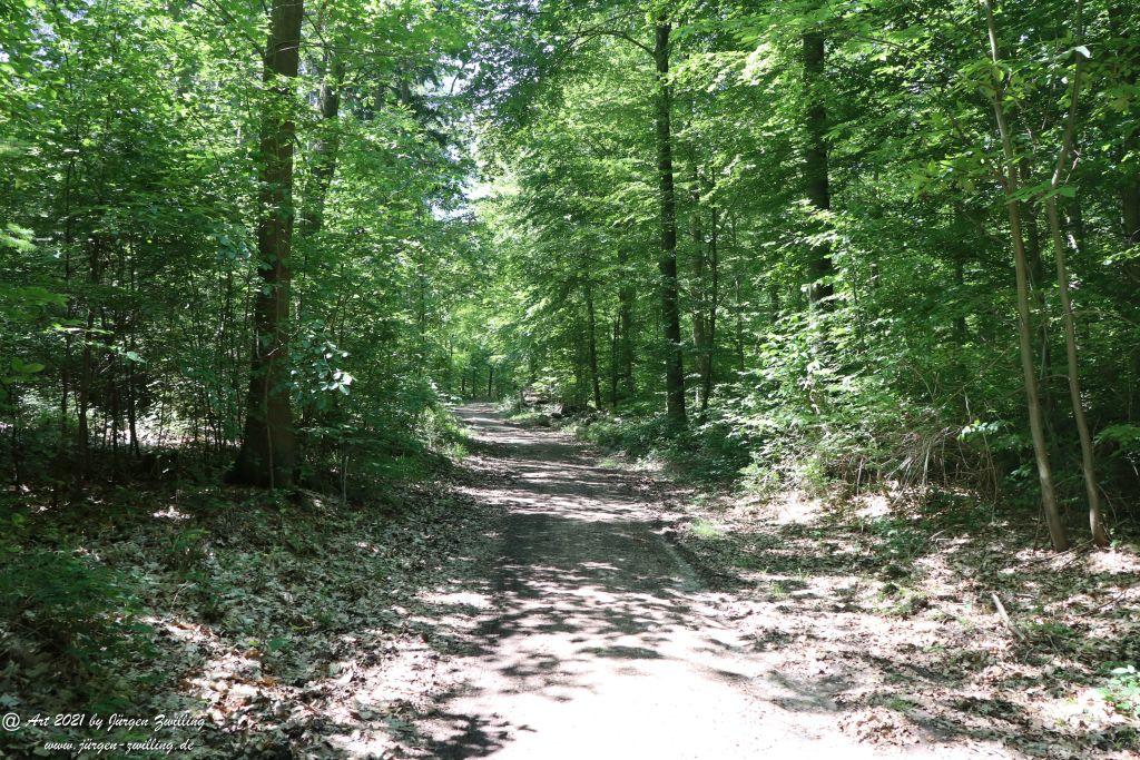 Kirchberg in Hackenheim zum Gasthaus Spreitel und zurück