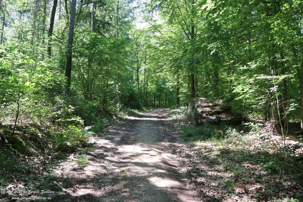 Kirchberg in Hackenheim zum Gasthaus Spreitel und zurück