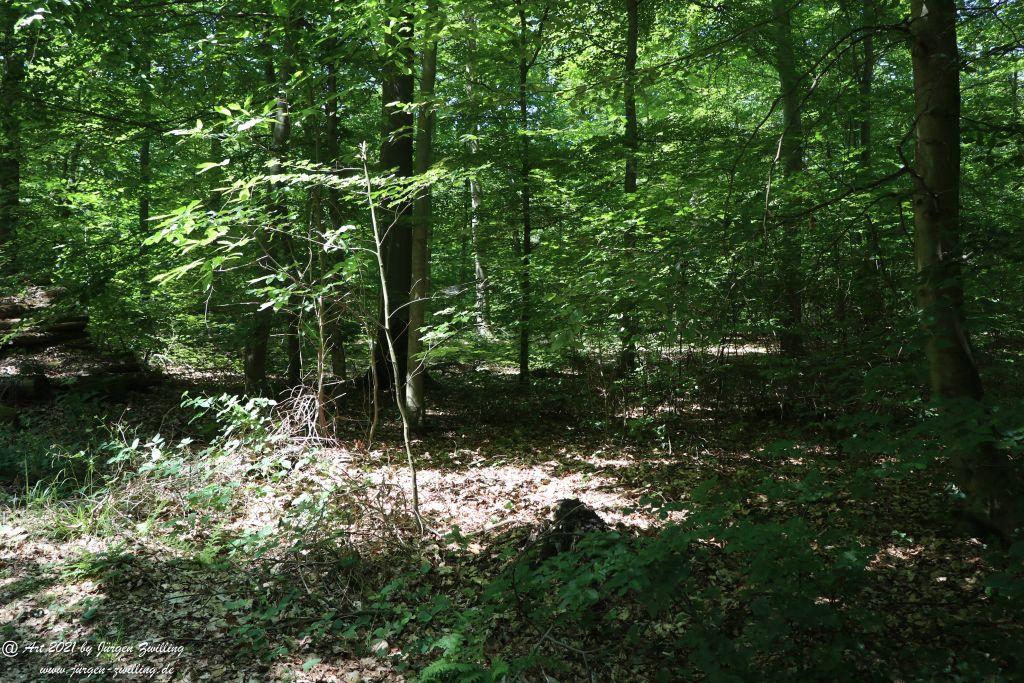 Kirchberg in Hackenheim zum Gasthaus Spreitel und zurück