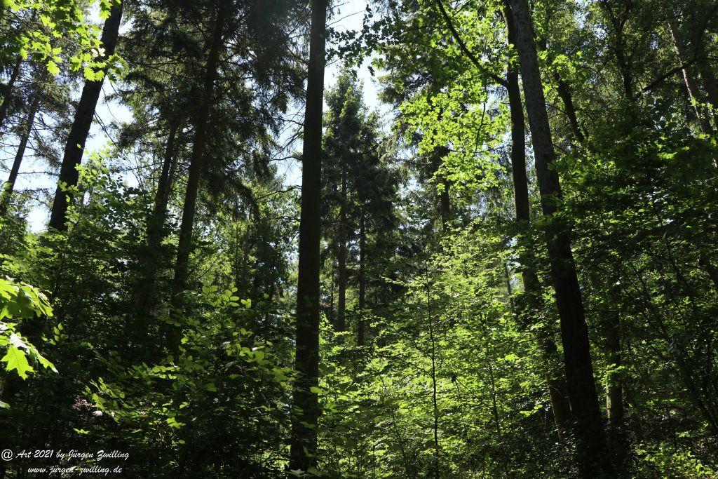 Kirchberg in Hackenheim zum Gasthaus Spreitel und zurück