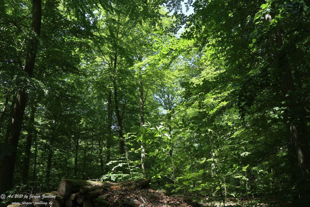 Kirchberg in Hackenheim zum Gasthaus Spreitel und zurück