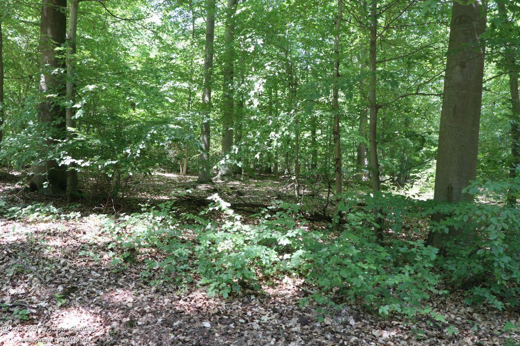 Kirchberg in Hackenheim zum Gasthaus Spreitel und zurück