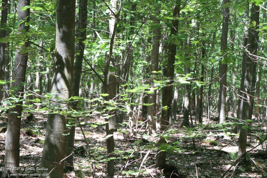 Kirchberg in Hackenheim zum Gasthaus Spreitel und zurück