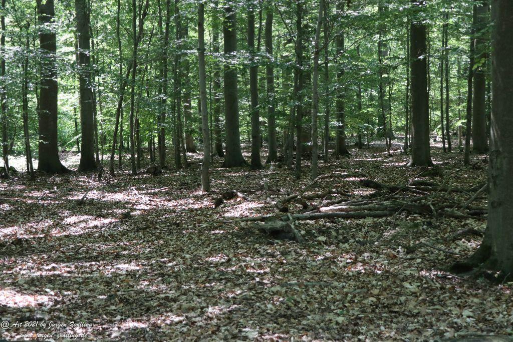 Kirchberg in Hackenheim zum Gasthaus Spreitel und zurück