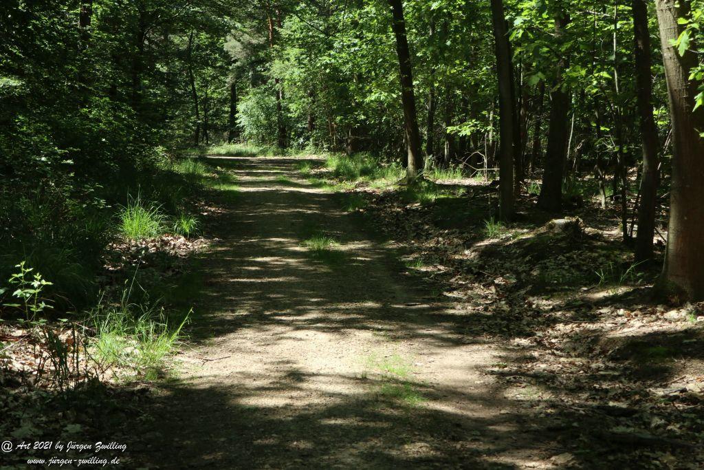 Kirchberg in Hackenheim zum Gasthaus Spreitel und zurück