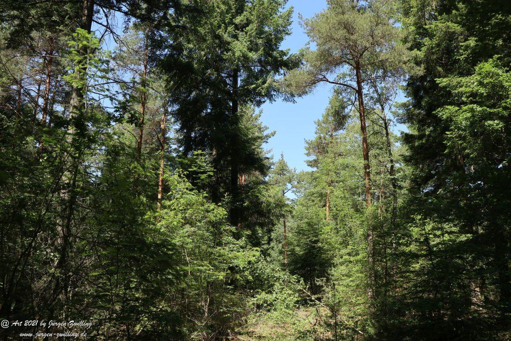 Kirchberg in Hackenheim zum Gasthaus Spreitel und zurück