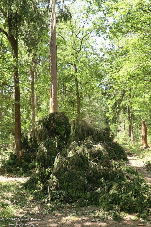 Kirchberg in Hackenheim zum Gasthaus Spreitel und zurück