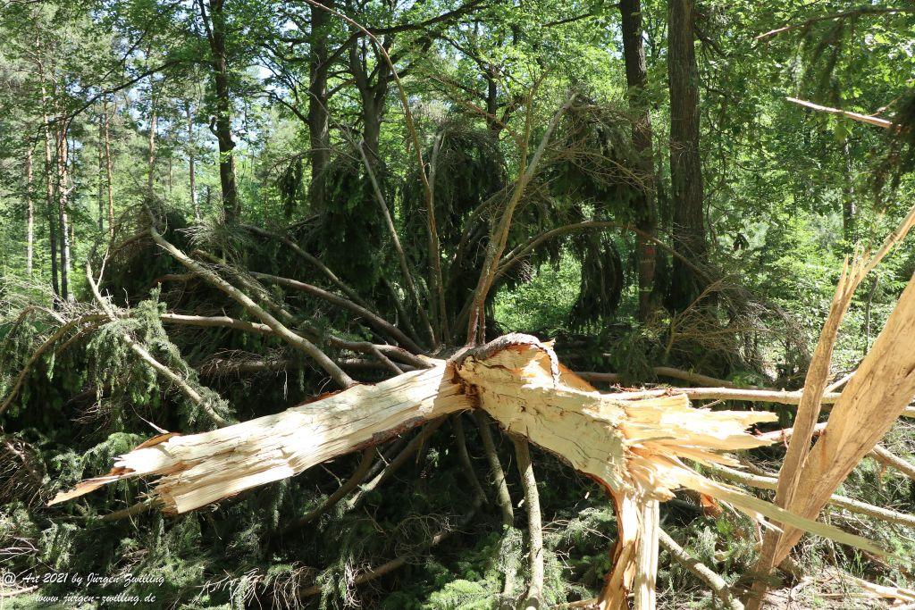 Kirchberg in Hackenheim zum Gasthaus Spreitel und zurück