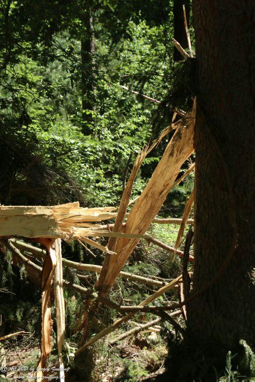 Kirchberg in Hackenheim zum Gasthaus Spreitel und zurück