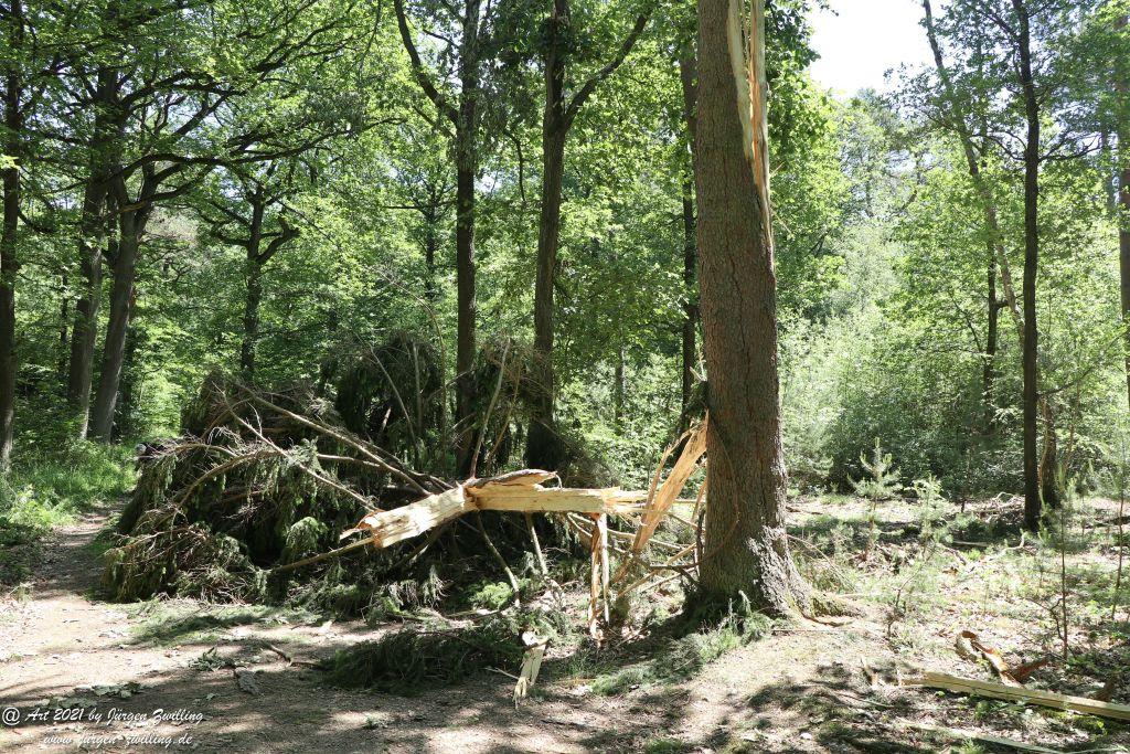 Kirchberg in Hackenheim zum Gasthaus Spreitel und zurück