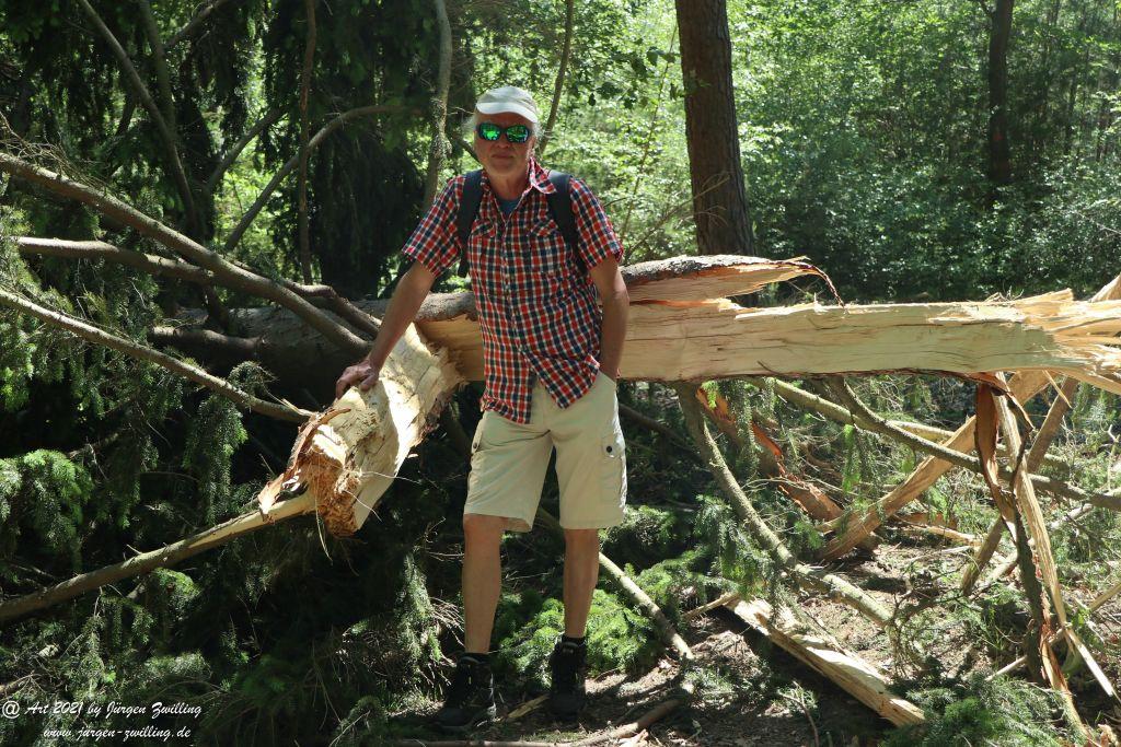 Kirchberg in Hackenheim zum Gasthaus Spreitel und zurück