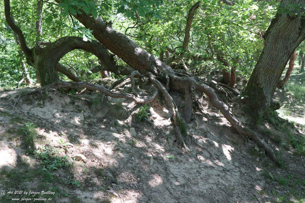 Kirchberg in Hackenheim zum Gasthaus Spreitel und zurück