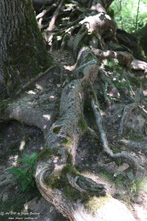 Kirchberg in Hackenheim zum Gasthaus Spreitel und zurück