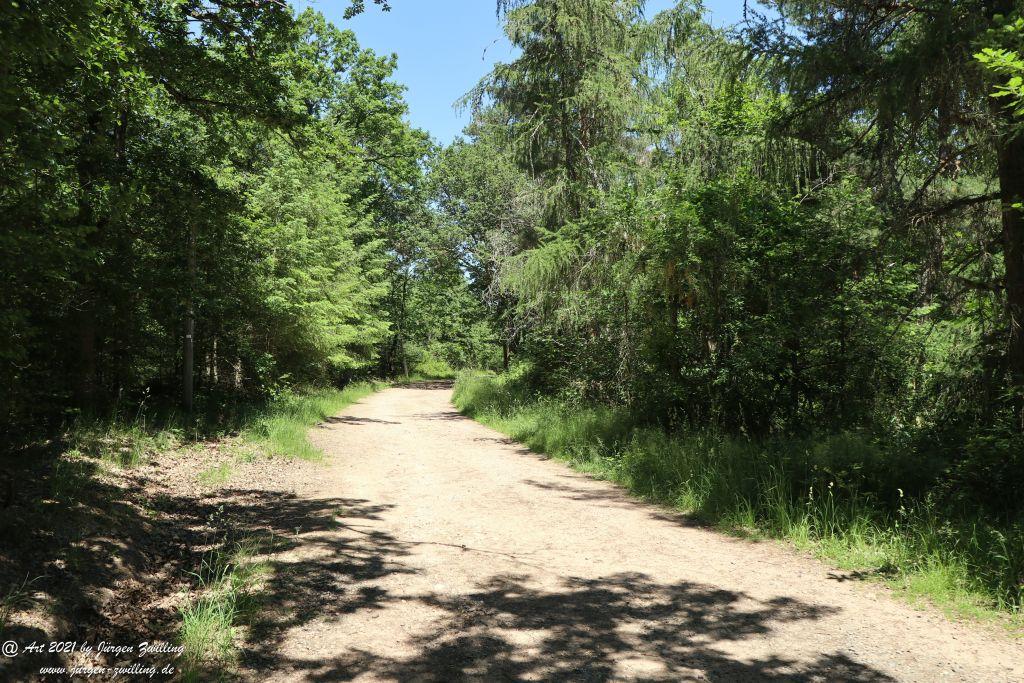 Kirchberg in Hackenheim zum Gasthaus Spreitel und zurück