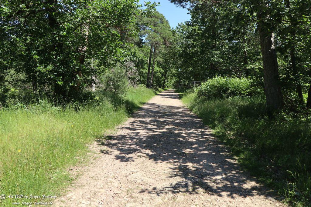 Kirchberg in Hackenheim zum Gasthaus Spreitel und zurück