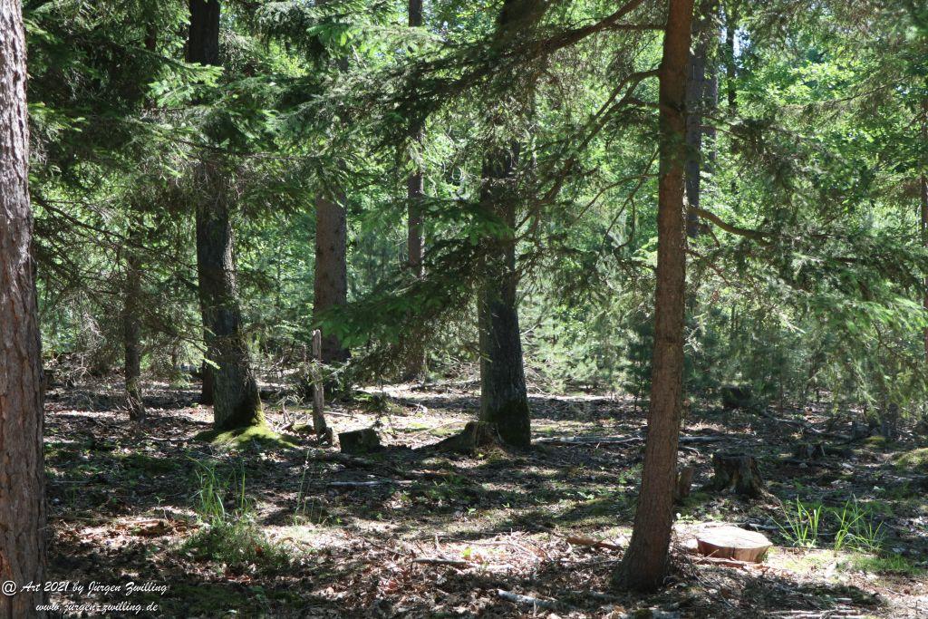 Kirchberg in Hackenheim zum Gasthaus Spreitel und zurück