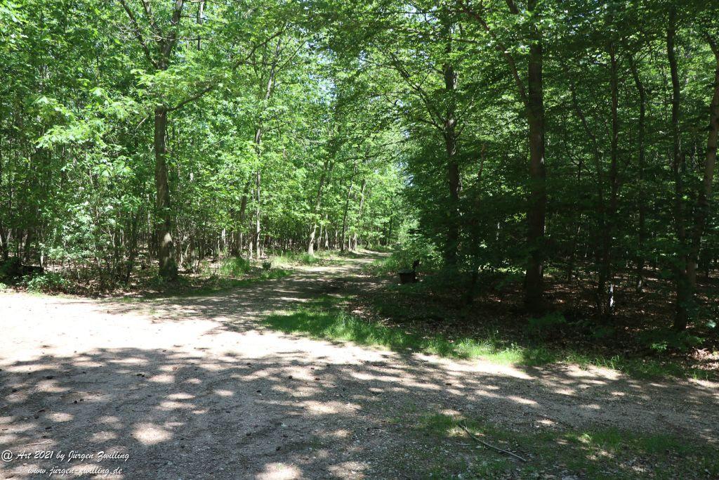 Kirchberg in Hackenheim zum Gasthaus Spreitel und zurück