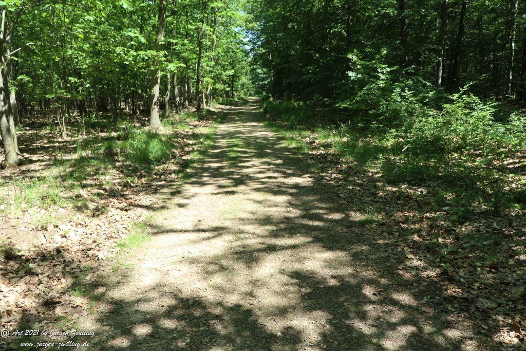 Kirchberg in Hackenheim zum Gasthaus Spreitel und zurück