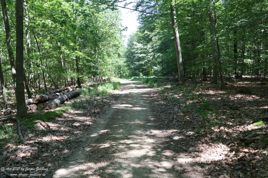 Kirchberg in Hackenheim zum Gasthaus Spreitel und zurück