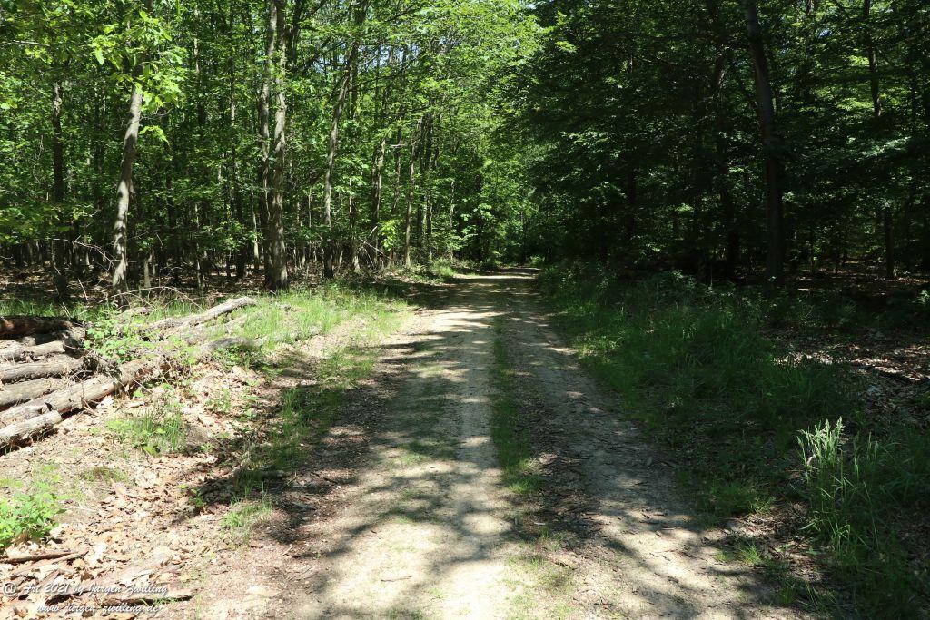 Kirchberg in Hackenheim zum Gasthaus Spreitel und zurück