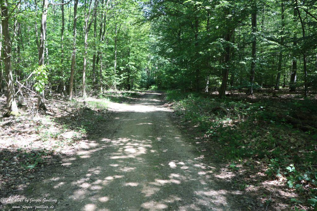 Kirchberg in Hackenheim zum Gasthaus Spreitel und zurück