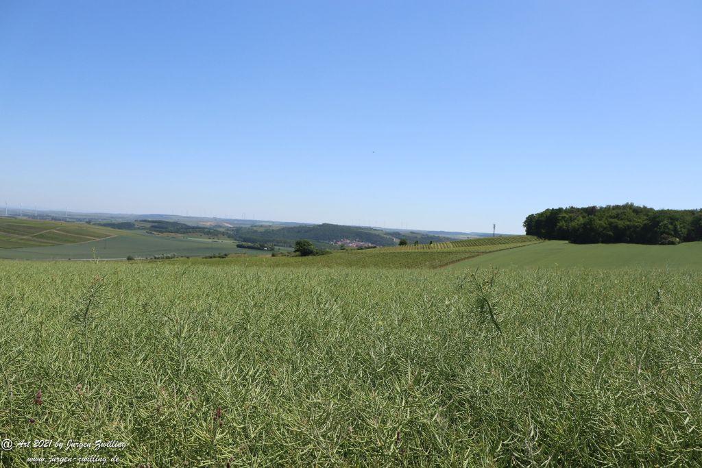 Kirchberg in Hackenheim zum Gasthaus Spreitel und zurück