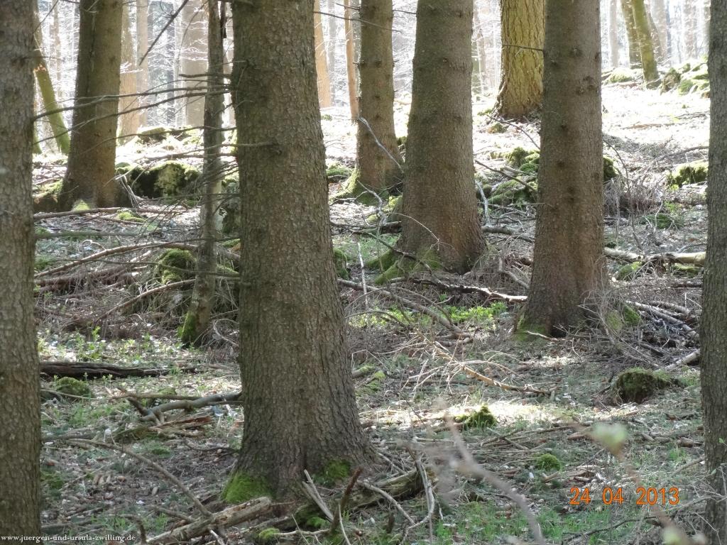 Philosophische Bildwanderung Traufgang-Schlossfelsenpfad