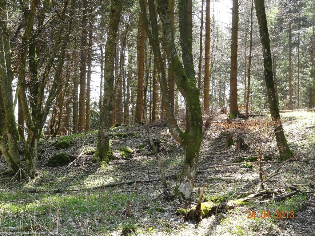 Philosophische Bildwanderung Traufgang-Schlossfelsenpfad