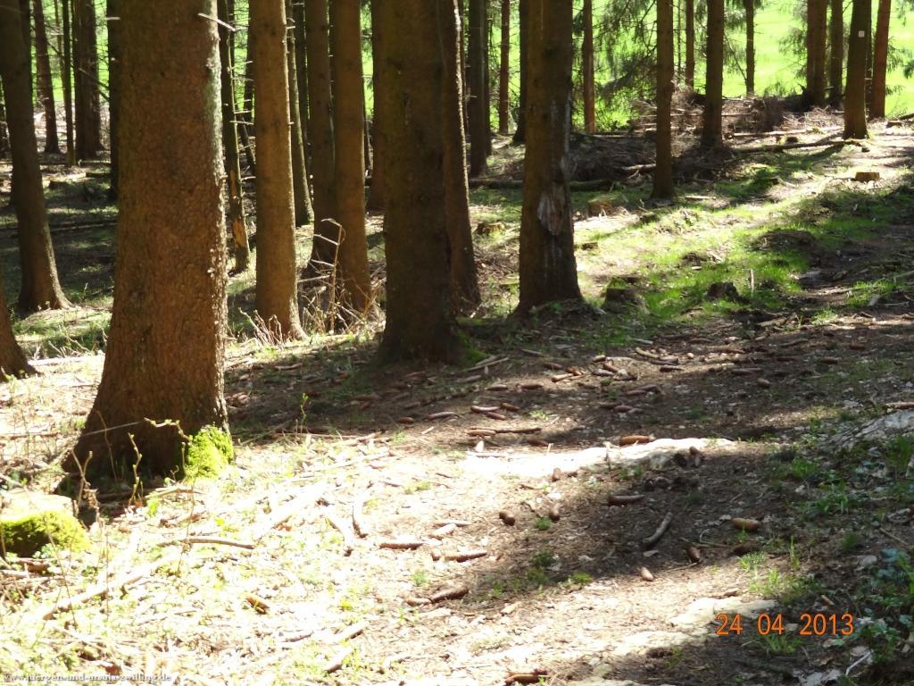 Philosophische Bildwanderung Traufgang-Schlossfelsenpfad