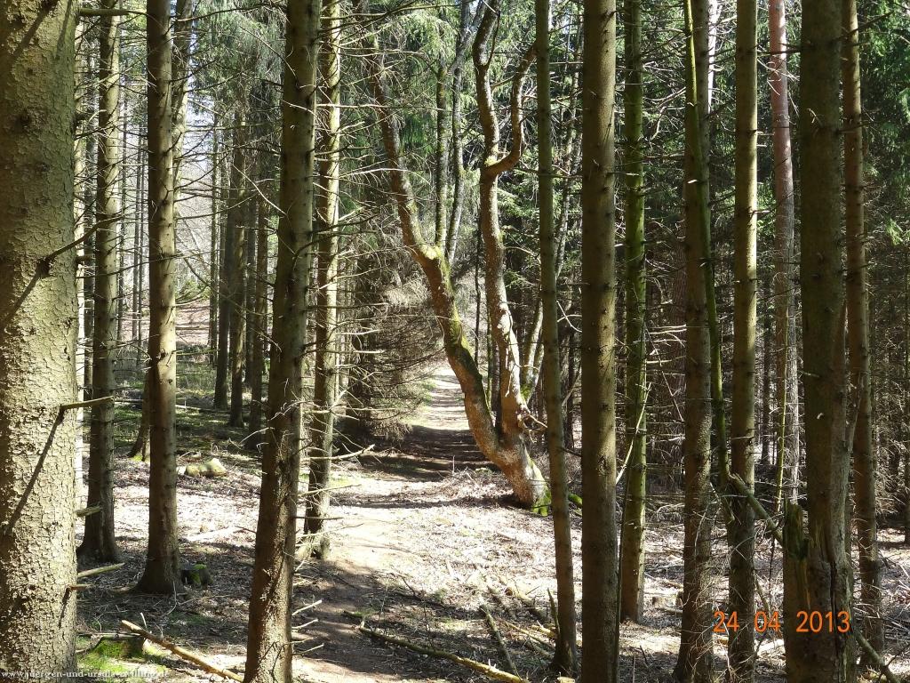 Philosophische Bildwanderung Traufgang-Schlossfelsenpfad