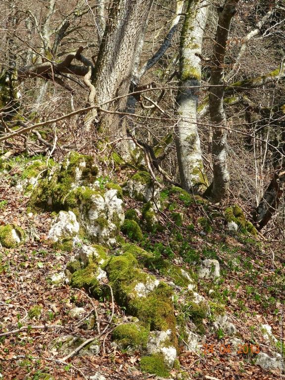 Philosophische Bildwanderung Traufgang-Schlossfelsenpfad