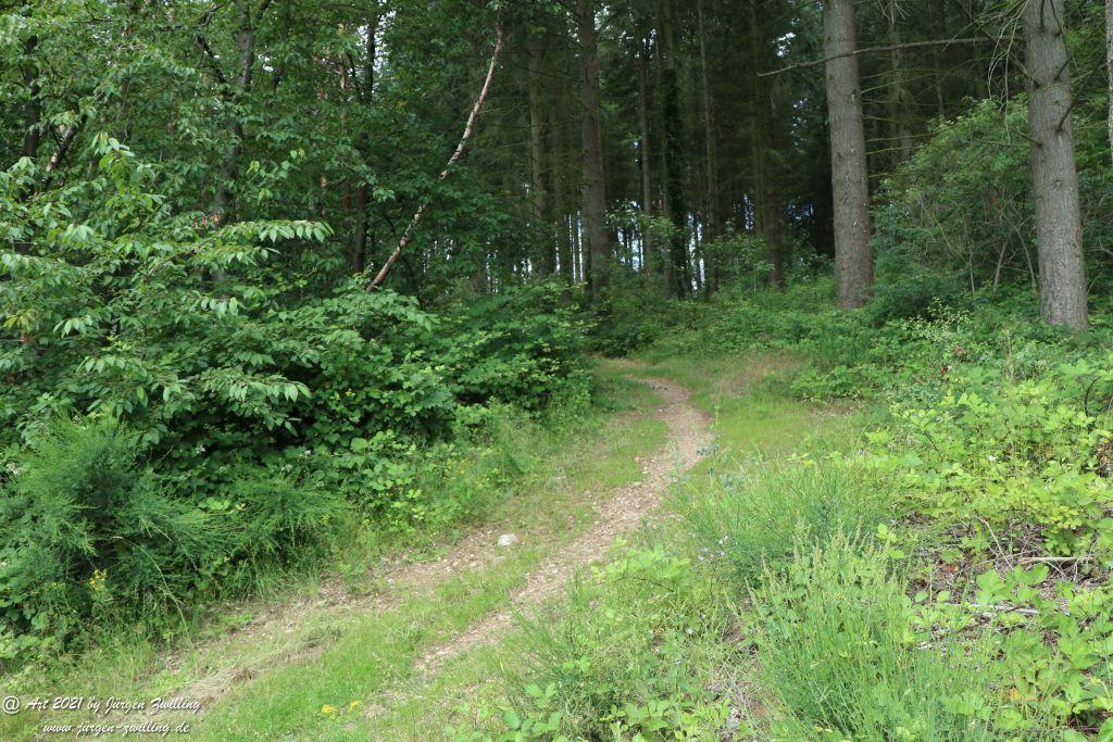 Philosophische Bildwanderung Vitaltour Wildgrafenweg - Hochstetten - Dhaun - Naheland - Rheinhessen