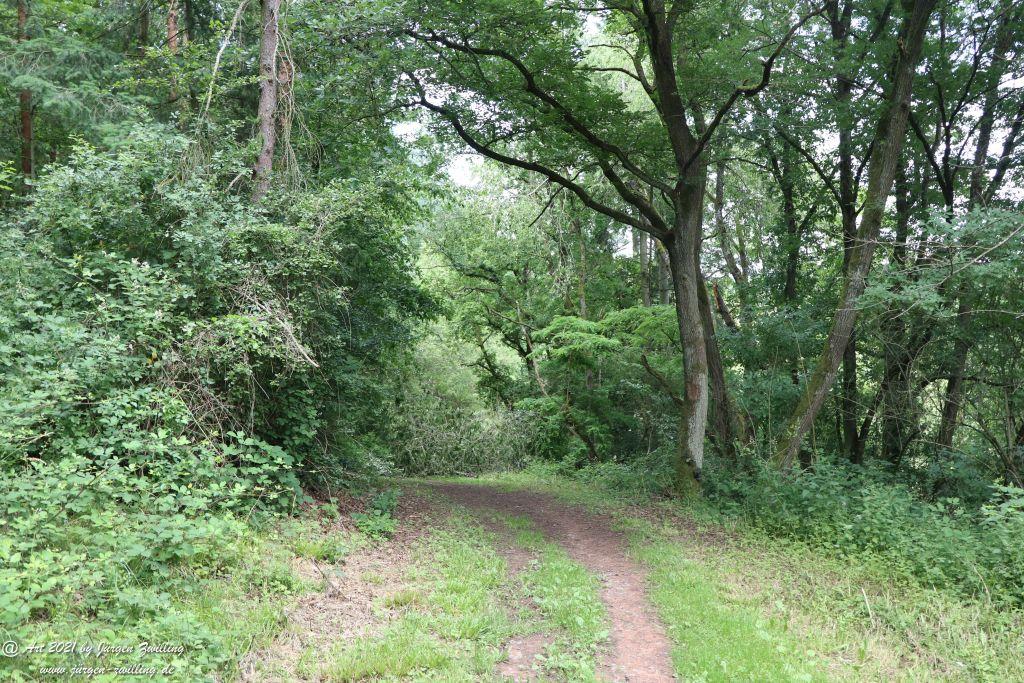 Philosophische Bildwanderung Vitaltour Wildgrafenweg - Hochstetten - Dhaun - Naheland - Rheinhessen
