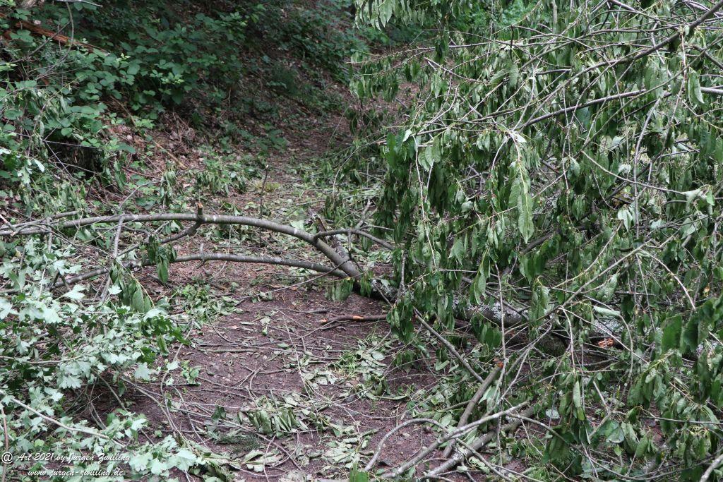 Philosophische Bildwanderung Vitaltour Wildgrafenweg - Hochstetten - Dhaun - Naheland - Rheinhessen
