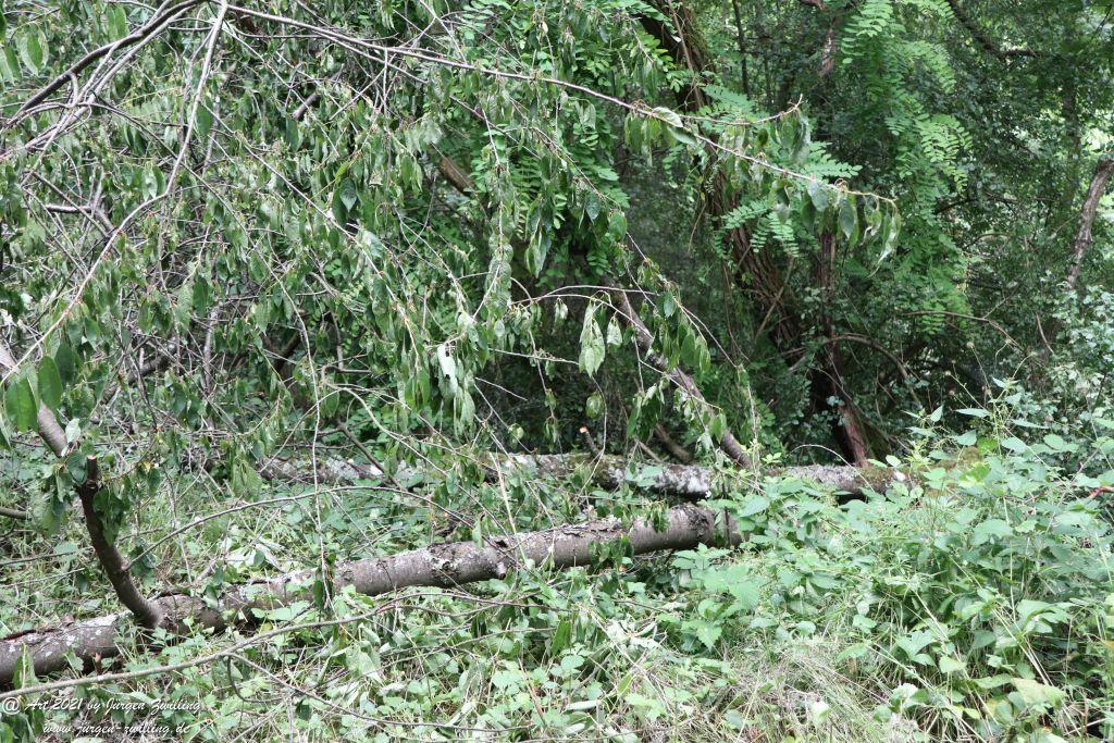 Philosophische Bildwanderung Vitaltour Wildgrafenweg - Hochstetten - Dhaun - Naheland - Rheinhessen