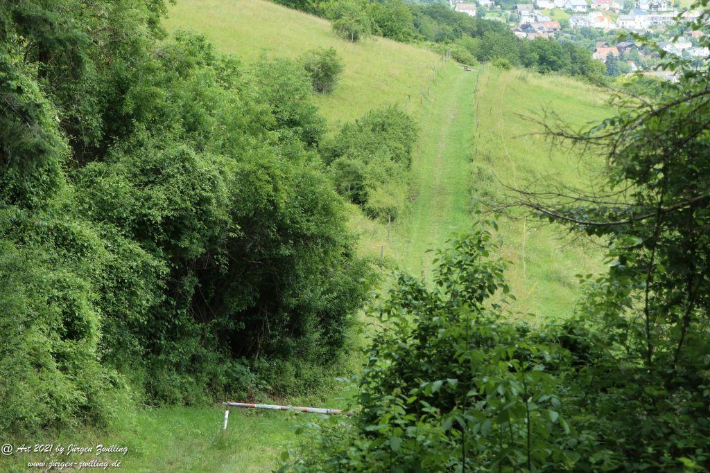 Philosophische Bildwanderung Vitaltour Wildgrafenweg - Hochstetten - Dhaun - Naheland - Rheinhessen
