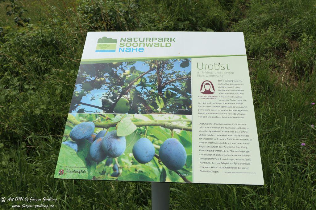 Philosophische Bildwanderung Vitaltour Wildgrafenweg - Hochstetten - Dhaun - Naheland - Rheinhessen