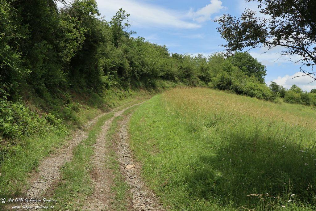 Philosophische Bildwanderung Vitaltour Wildgrafenweg - Hochstetten - Dhaun - Naheland - Rheinhessen