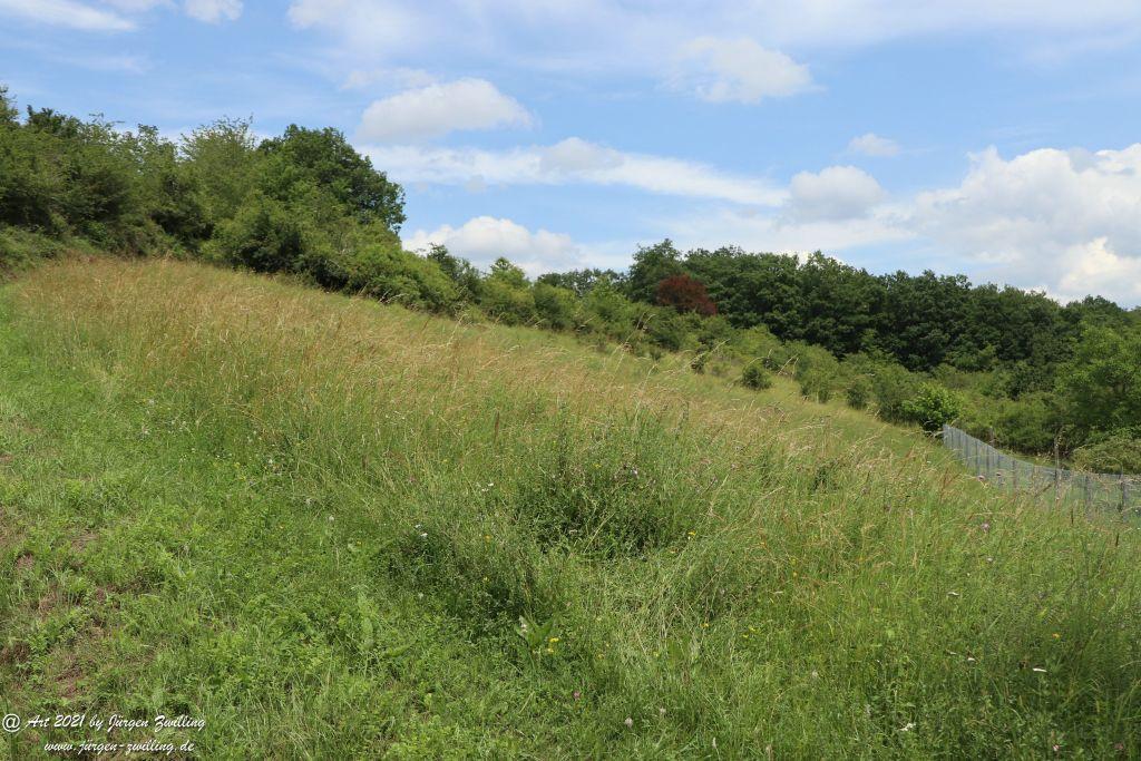 Philosophische Bildwanderung Vitaltour Wildgrafenweg - Hochstetten - Dhaun - Naheland - Rheinhessen