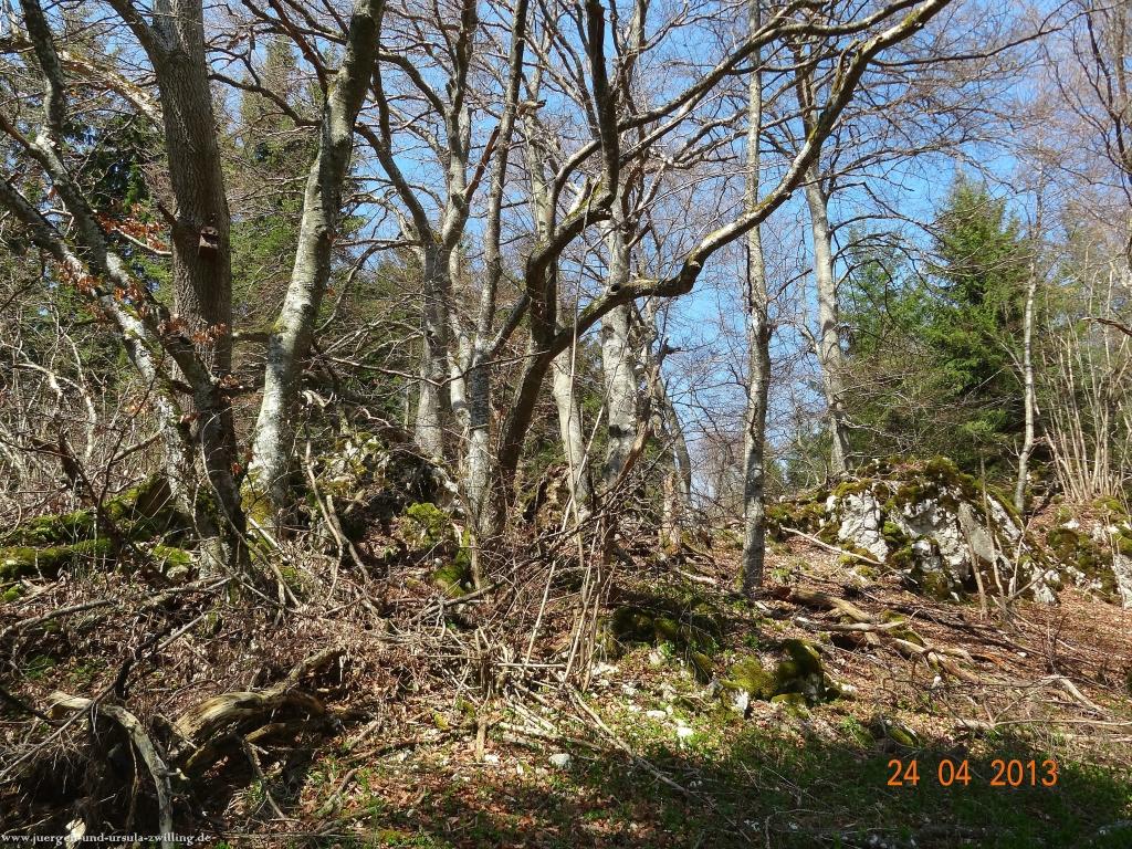 Philosophische Bildwanderung Traufgang-Schlossfelsenpfad