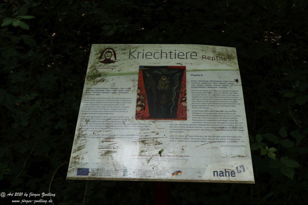 Philosophische Bildwanderung Vitaltour Wildgrafenweg - Hochstetten - Dhaun - Naheland - Rheinhessen