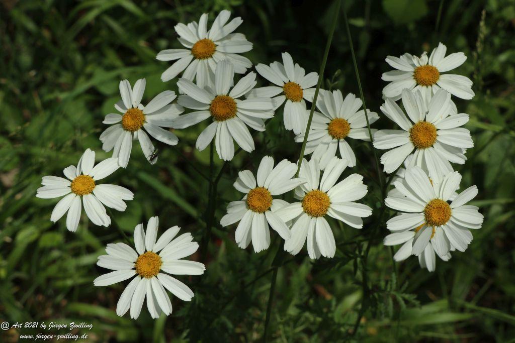 Philosophische Bildwanderung Vitaltour Wildgrafenweg - Hochstetten - Dhaun - Naheland - Rheinhessen