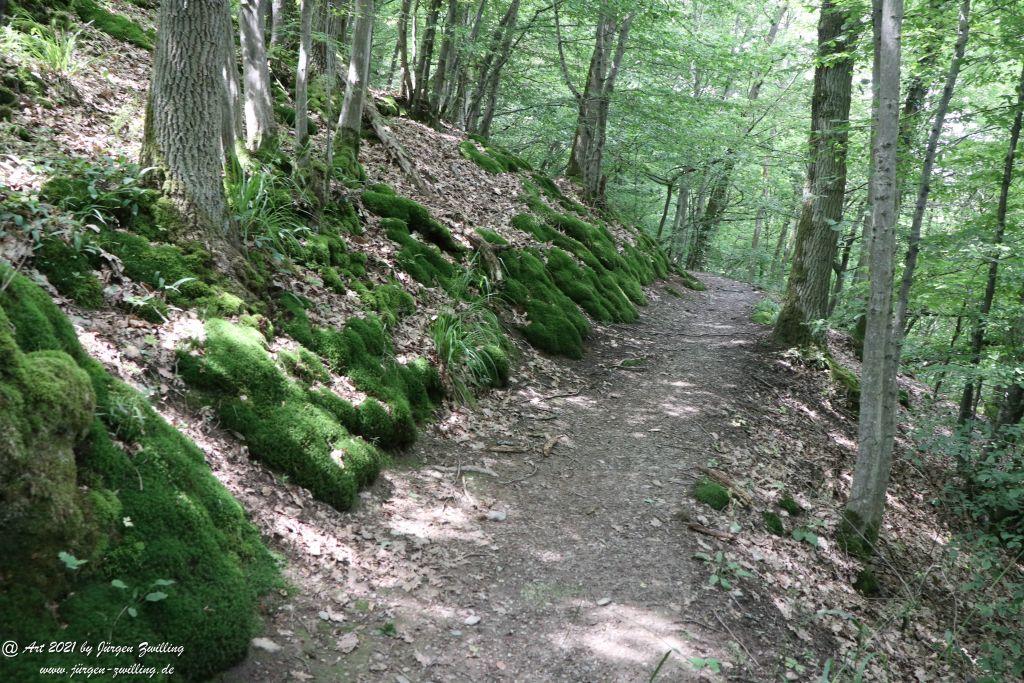 Philosophische Bildwanderung Vitaltour Wildgrafenweg - Hochstetten - Dhaun - Naheland - Rheinhessen