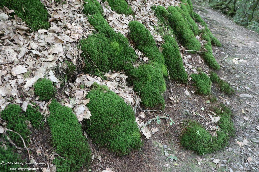Philosophische Bildwanderung Vitaltour Wildgrafenweg - Hochstetten - Dhaun - Naheland - Rheinhessen
