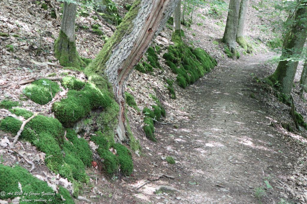 Philosophische Bildwanderung Vitaltour Wildgrafenweg - Hochstetten - Dhaun - Naheland - Rheinhessen