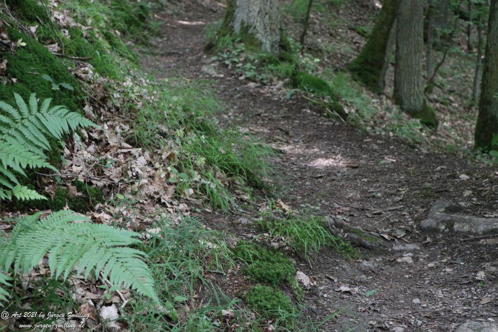Philosophische Bildwanderung Vitaltour Wildgrafenweg - Hochstetten - Dhaun - Naheland - Rheinhessen