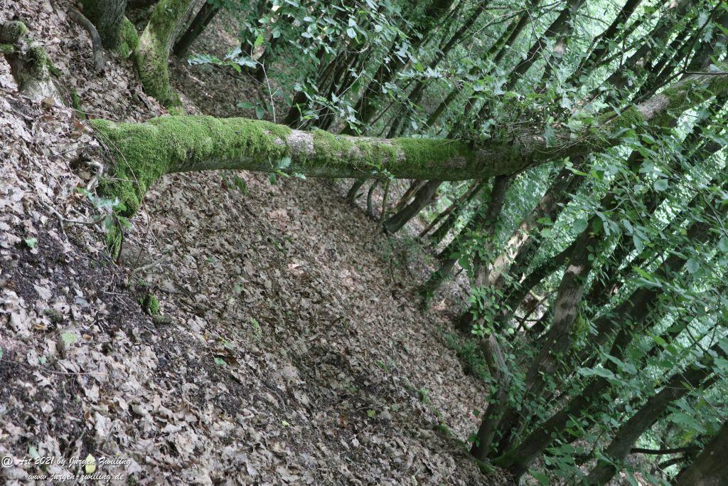Philosophische Bildwanderung Vitaltour Wildgrafenweg - Hochstetten - Dhaun - Naheland - Rheinhessen