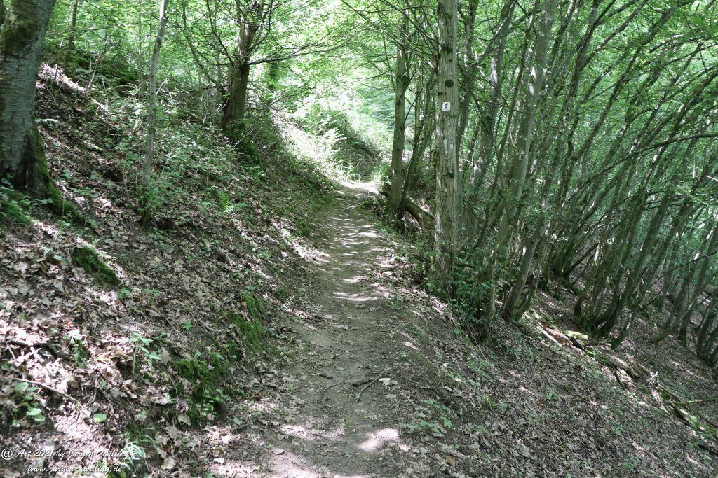 Philosophische Bildwanderung Vitaltour Wildgrafenweg - Hochstetten - Dhaun - Naheland - Rheinhessen