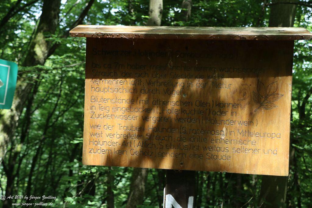 Philosophische Bildwanderung Vitaltour Wildgrafenweg - Hochstetten - Dhaun - Naheland - Rheinhessen